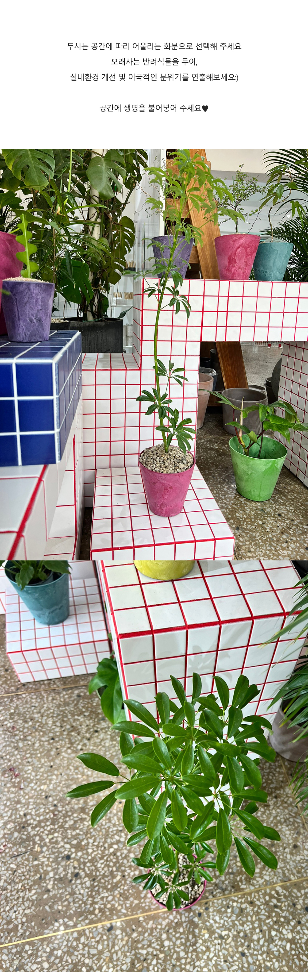 cabf13d86db46b0fbbdaaf2644031775_1764841326_0943.jpg cabf13d86db46b0fbbdaaf2644031775_1764841326_0943.jpg